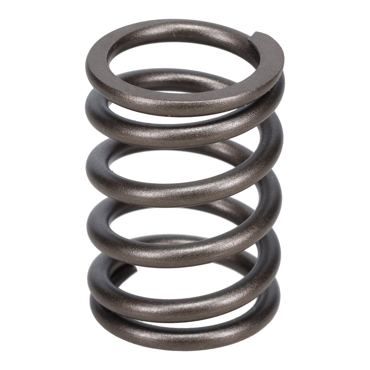 Valve Spring