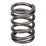 Valve Spring