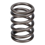 Valve Spring