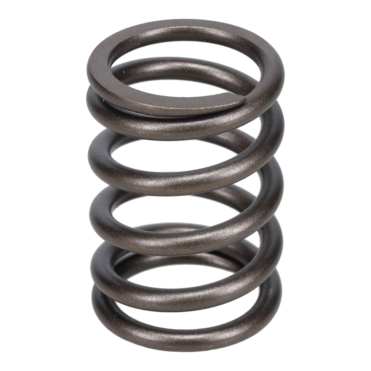 Valve Spring