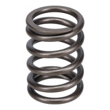 Valve Spring