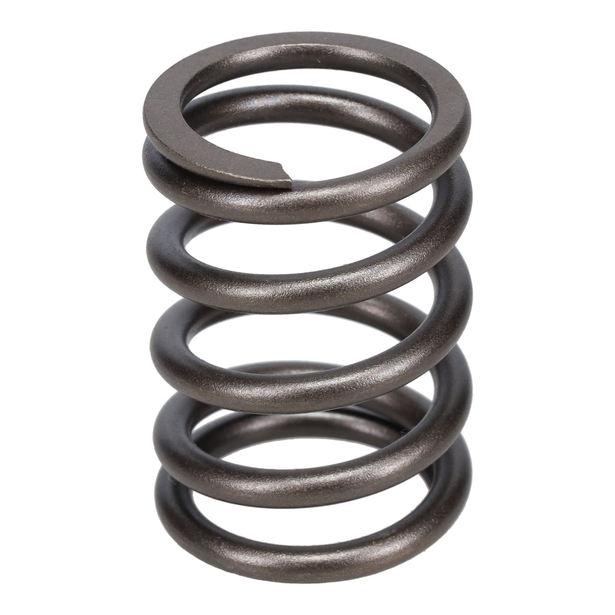 Valve Spring