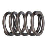 Valve Spring