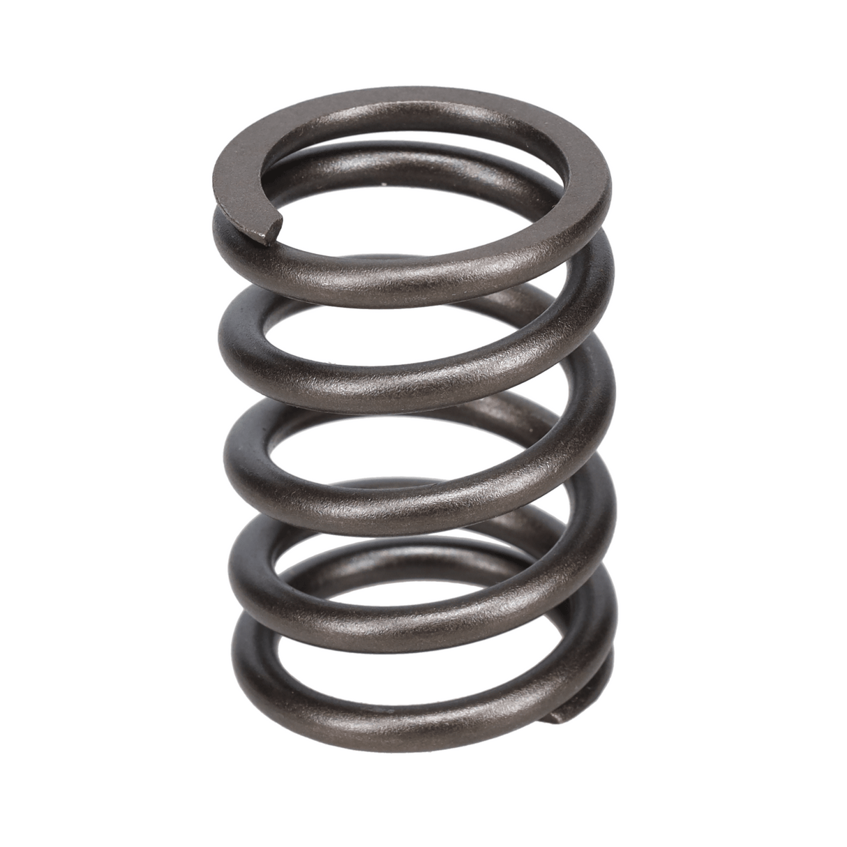 Valve Spring