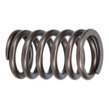 Valve Spring
