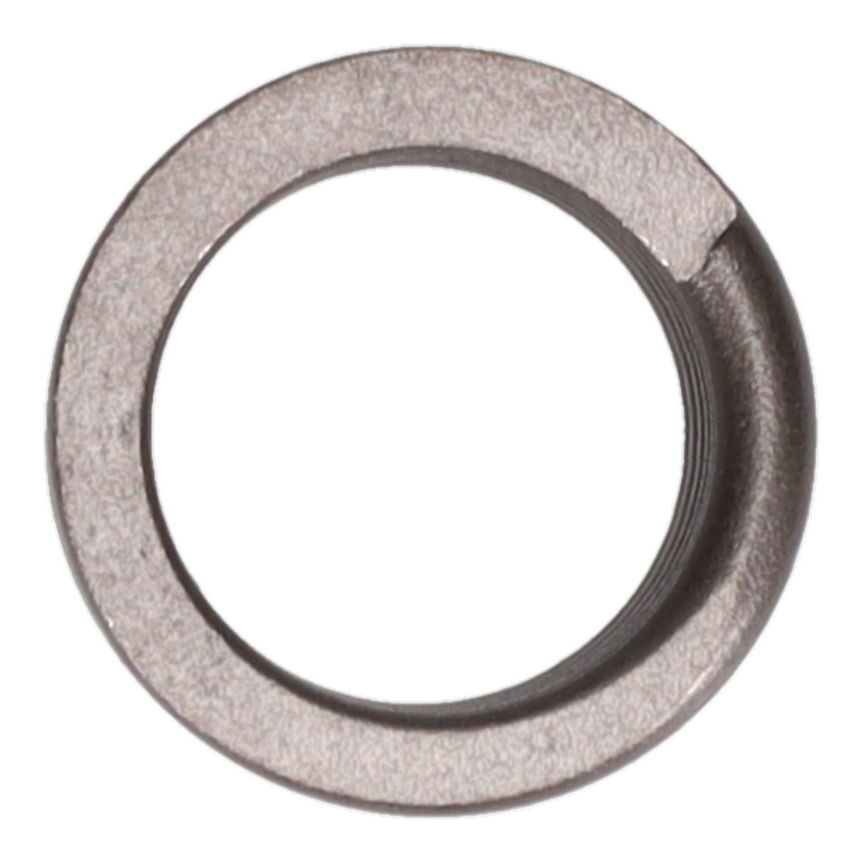 Valve Spring