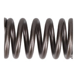 Valve Spring