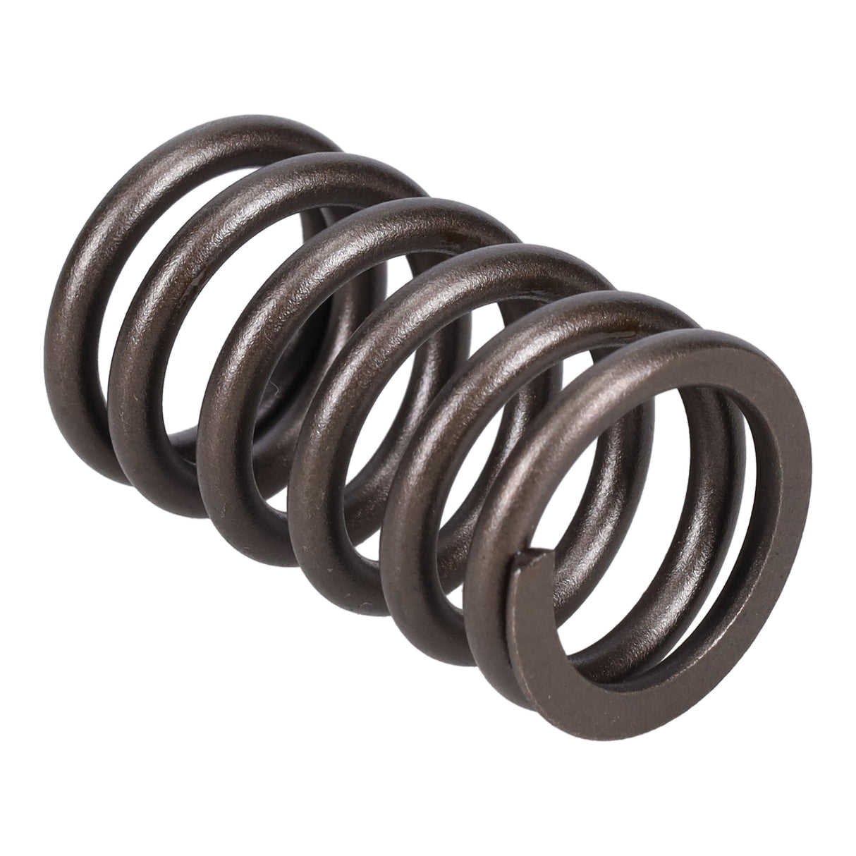 Valve Spring