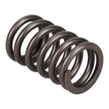 Valve Spring