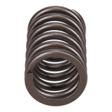 Valve Spring