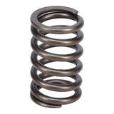 Valve Spring