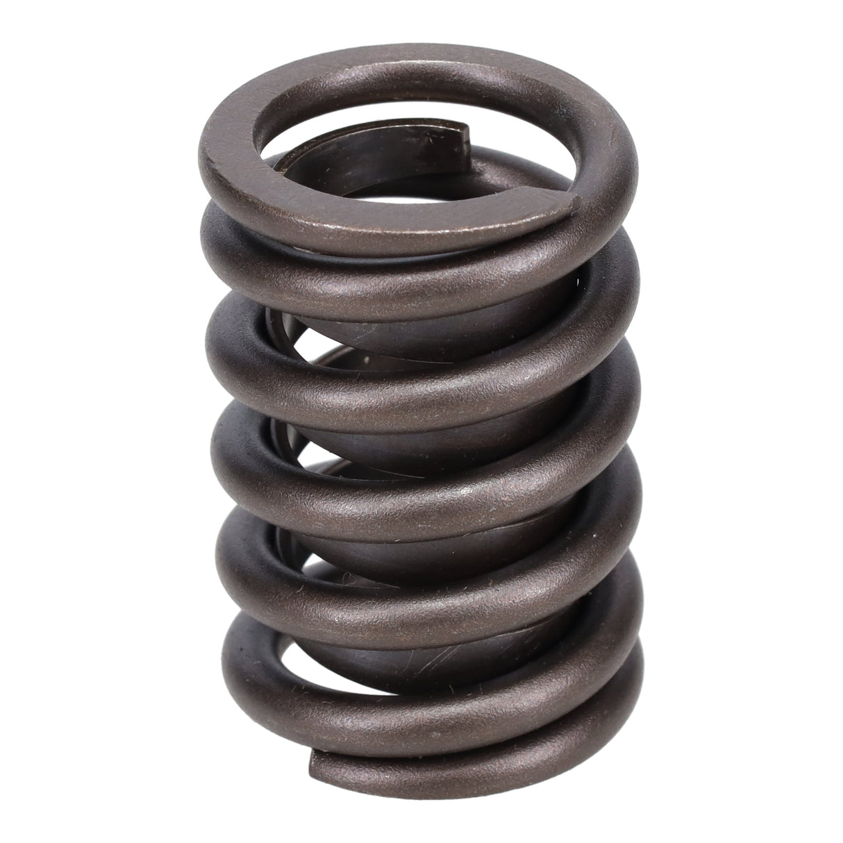 Valve Spring