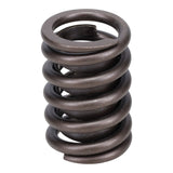 Valve Spring