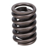 Valve Spring