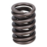 Valve Spring