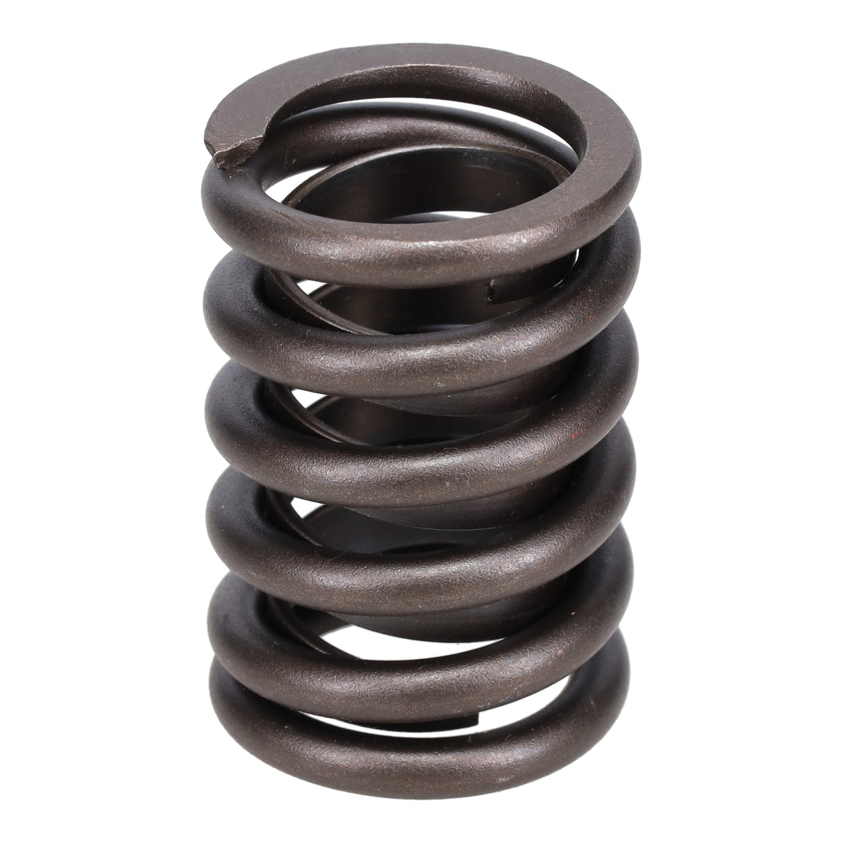 Valve Spring