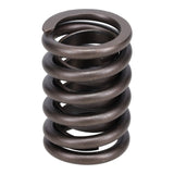 Valve Spring