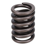 Valve Spring