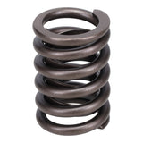 Valve Spring