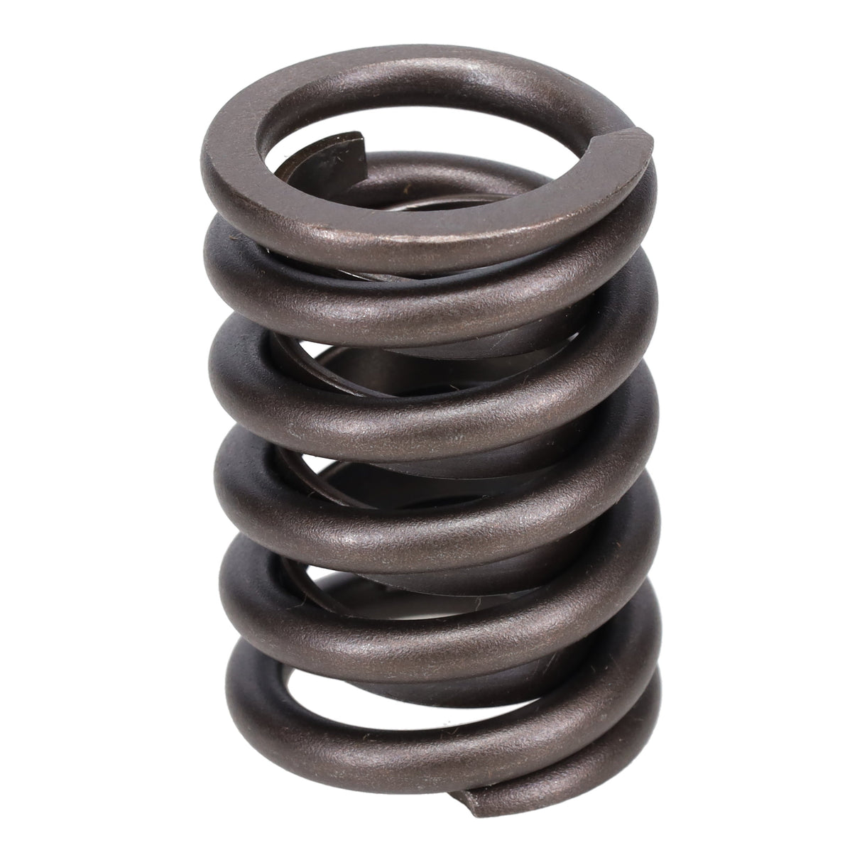 Valve Spring