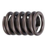 Valve Spring