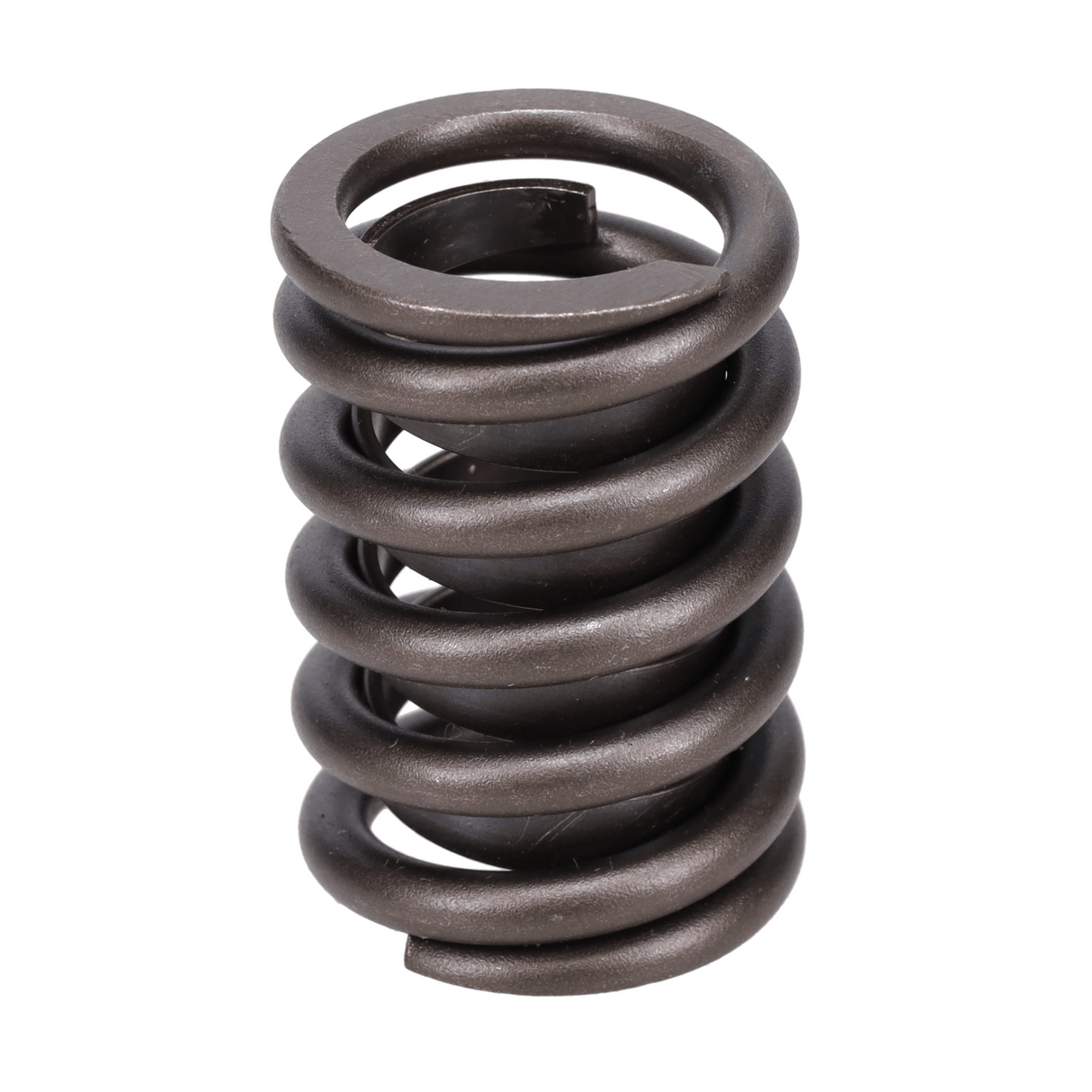 Valve Spring