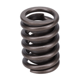 Valve Spring