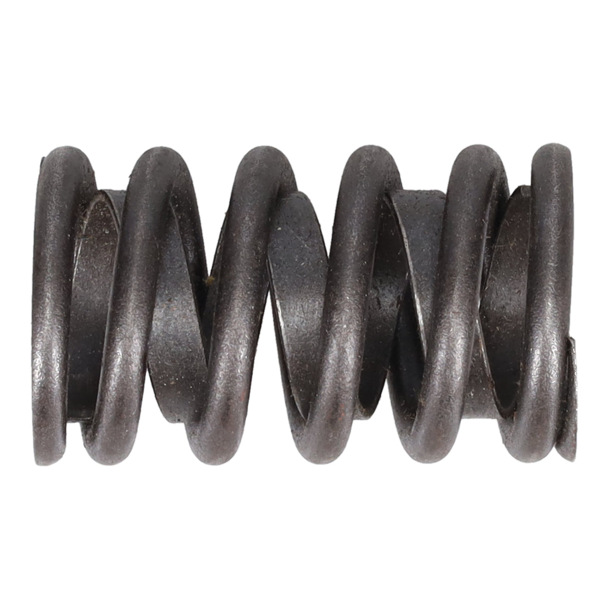 Valve Spring