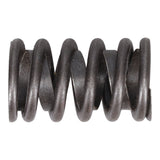Valve Spring