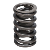 Valve Spring