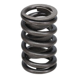 Valve Spring