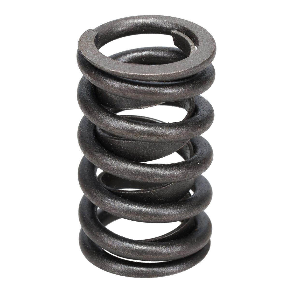 Valve Spring