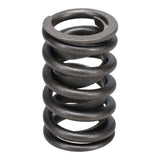 Valve Spring