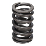 Valve Spring