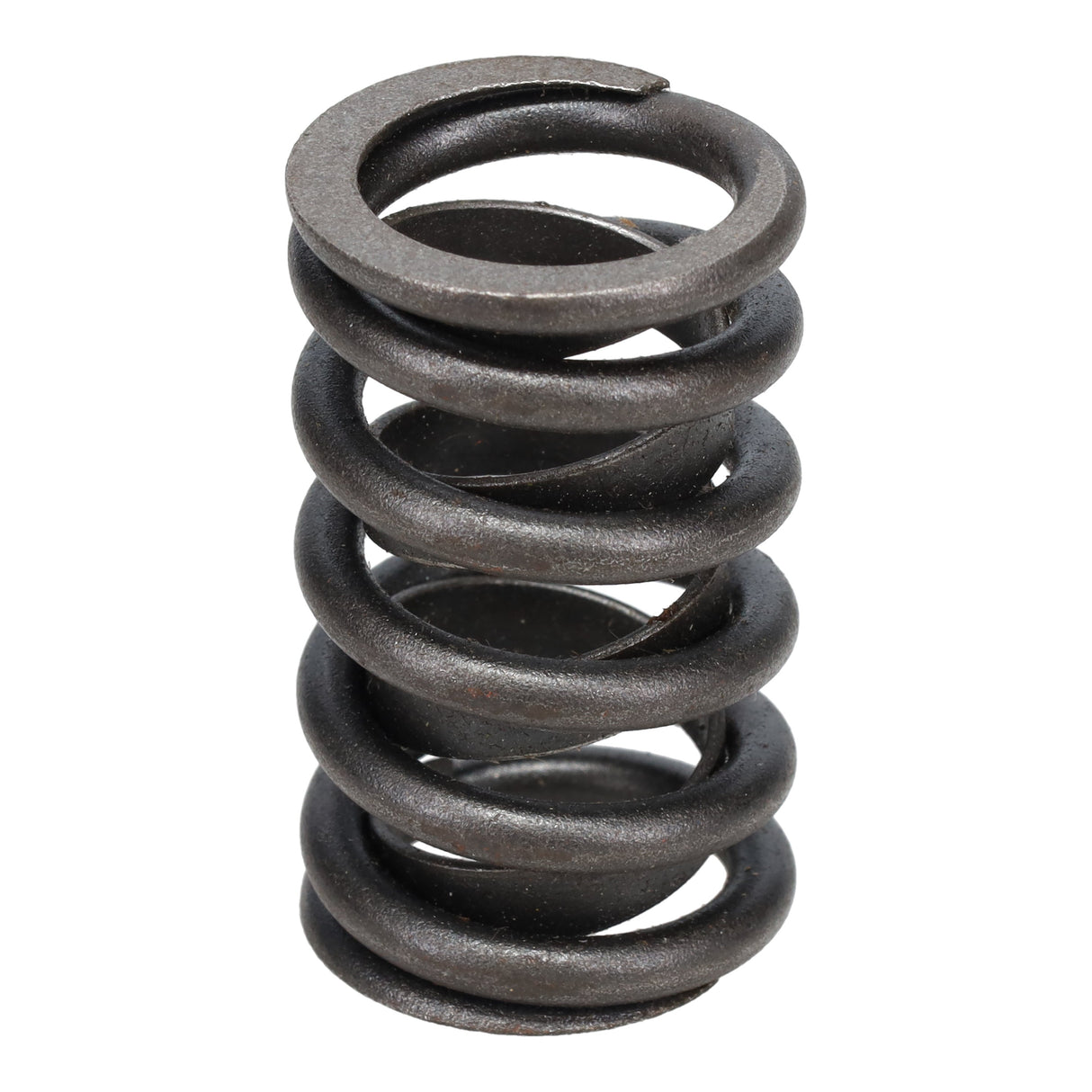 Valve Spring