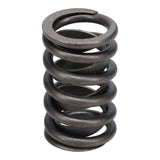 Valve Spring