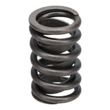 Valve Spring