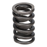 Valve Spring