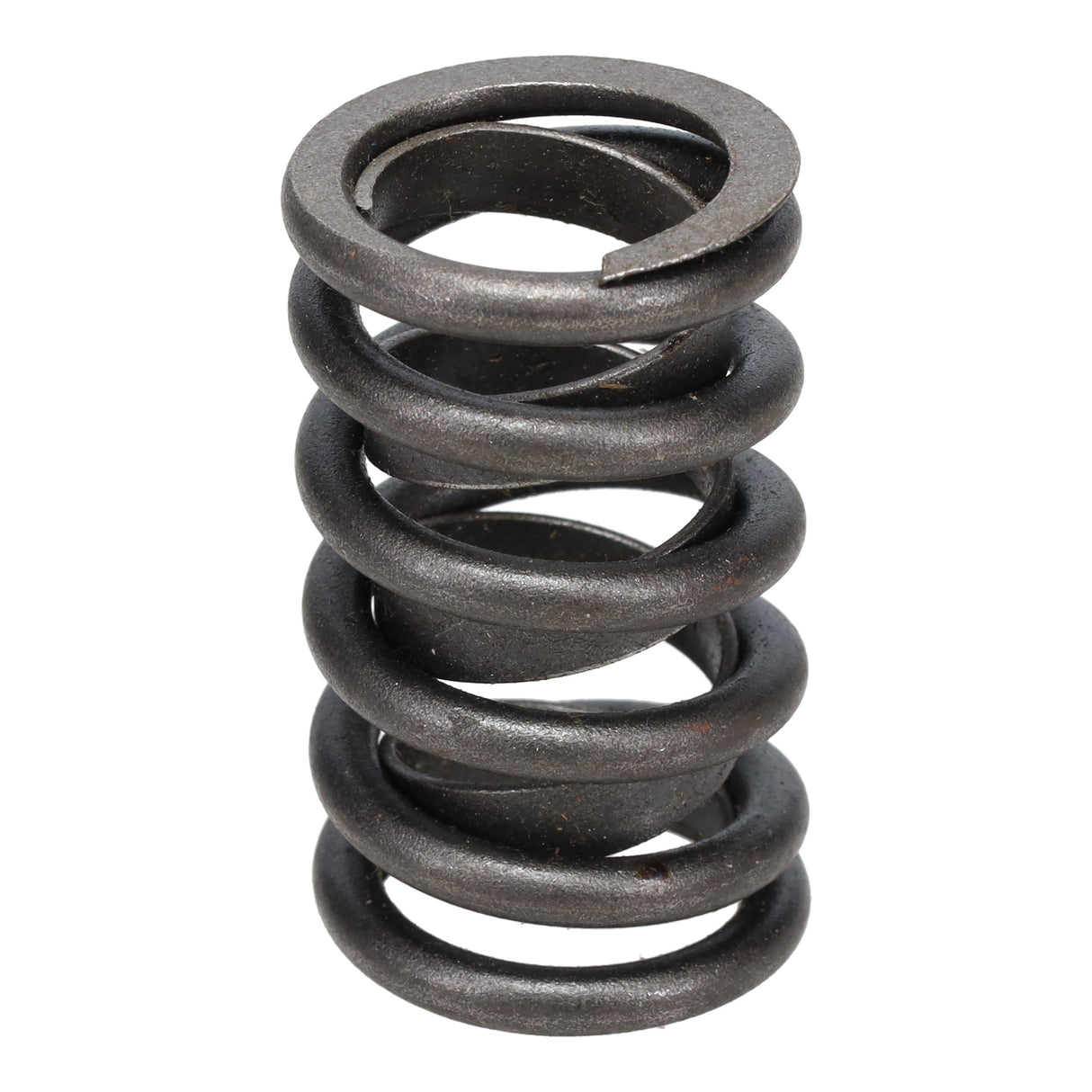Valve Spring