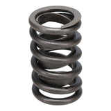 Valve Spring