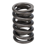 Valve Spring