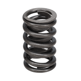 Valve Spring