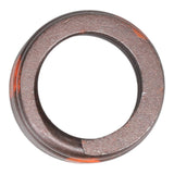 Valve Spring