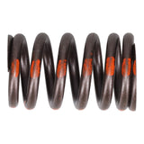 Valve Spring