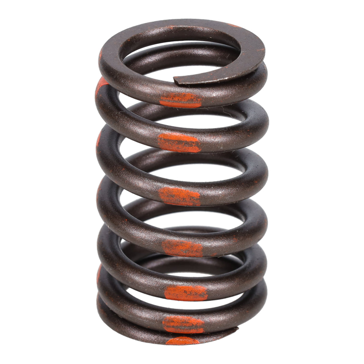 Valve Spring