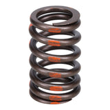 Valve Spring