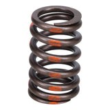 Valve Spring