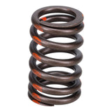 Valve Spring