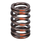Valve Spring