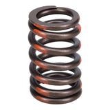 Valve Spring